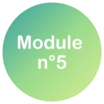 Module n°5