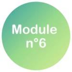 Module n°6